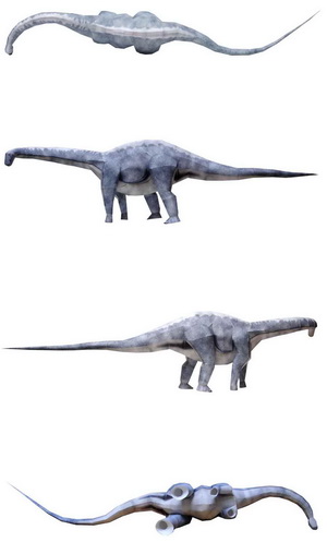 apatosaurus2